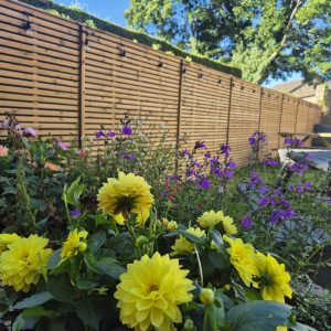 Deluxe Contemporary Slatted Fence Panels
